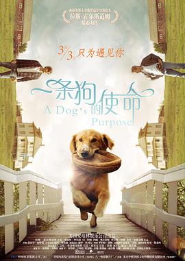 蜜桃91丨九色丨蝌蚪